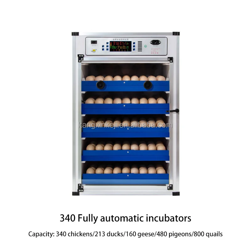 ミニ鶏卵インキュベーター68136204 272340卵孵化機12220V